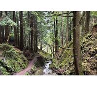 E-Bike Tour to Puck s Glen and Hidden Waterfalls