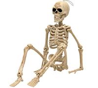 e Crafty 16” Halloween Skeleton，Full Body Skeleton with Posable Movable Joints for Haunted House Props Decorations