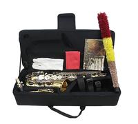 E-flat Alto Saxophone, Beginner Alto Saxophone, Playing Alto Saxophone, Adult Alto Saxophone, Professional Alto Saxophone, Bronze Saxophones