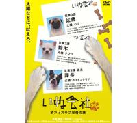 ‚¢‚Ê‰ïŽÐ ƒIƒtƒBƒXƒ‰ƒu‚Íœ‚Ì-¡ •Ò [DVD]