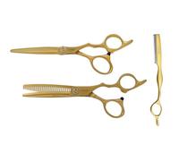 E-Kwip Harmony Line Hairdressing Scissors Set in Matte Gold - 5.75 Inch Cutting & Modelling Scissors Made of VG-10 Japanese Steel - Titanium Coated with Razor