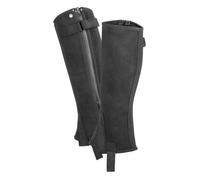 Mini-chaps ELT Daily