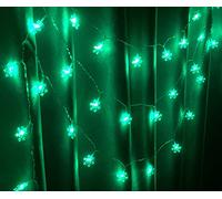 E-lishine 19ft /40LED Snowflake String Light String Outdoor Waterproof House Decorative Light String Interior Decoration,Decorative Snowflake Lights for Christmas, Party (Green)
