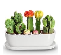 E-liu Oval Ceramic Planter Pot with Drainage Hole Saucers 14 Inch Succulents Planter Home Decor for Indoor Outdoor Plants Herb Cactus with 3 Mesh Pads, Plants Not Included, Black