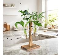 E-ROOM TREND Plant Propagation Station with Acacia Wood Stand and 4 Glass Vases, Stylish Propagation Vases for Plants, Home & Garden Décor - Ideal Gift for Plant Lovers & Gardening Enthusiasts