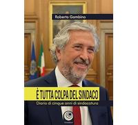 È tutta colpa del sindaco. Diario di cinque anni di sindacatura