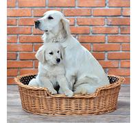 e-wicker24 Natural Woven Dog Bed - Comfortable, Calming, Luxury Dog Sofa - Raised, Soft Pillow - 100x75 H27