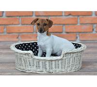 e-wicker24 Wicker Dog Bed - Raised, Comfortable, Luxury, Cosy, Natural Woven (White, 100x75 H27)