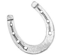 E17 Pewter Horse Lucky Horseshoe Tie Pin / Brooch