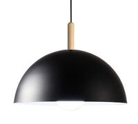 E27 Base Flush Mount Hanging Lamp, Modern Industrial Style Metal Chandelier, Single Head Ceiling Pendant Light, Living Room Coffee Shop Hotel Decoration Light Fixtures