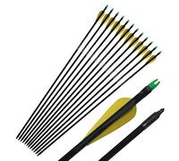 e5e10 Fiberglass Target/hunting Arrows 33-inch with Unchangeable Sealed Target Practice Point for Compound Bow 12pcs