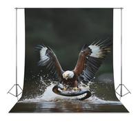 Ea-gles And Snake Photo Studio Backgrounds Black Photography Backdrop for Portrait Video Shooting Live 56"x79"