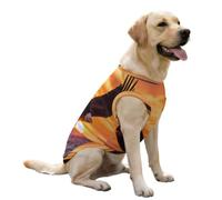 Ea-gles Soaring Over Ocean Sunset Dog Clothes Ice Silk Sleeveless Pet Vest Breathable Shirts for Large Dogs Cat 3XL
