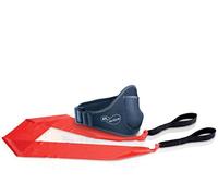 EA Sports Active Accessory Pack - Nintendo Wii