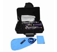 Eacam B Flat Clarinet 17 Key ABS Woodwind Instrument with 10 Reeds Case Cleaning Cloth Gloves Screwdriver for Beginner Student Musician (purple)