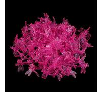 Eacam Garden Stem Clips,Strong Grip, Lovely Design, Cute Looking, Made of Sturdy plastic. Large Enough to Go Around the Stem and Support Without Damaging it. Easy to and release. (Rose Red)