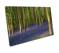 EACanvas Ancient bluebell wildflowers woods in Oxfordshire Ready to Hang Wall Art Print Picture For Home Office Decor 91x61cm (36x24In)
