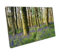 EACanvas Narrow path through beautiful bluebell woods near Redruth Ready to Hang Wall Art Print Picture For Home Office Decor 76x51cm (30x20In)