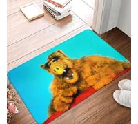 EAEQKOUC 3D Custom Funny Alf Door Floor Kitchen Bathroom Mat Outdoor Alien Life Form Sci Fi Tv Show Doormat Living Room Entrance Carpet Rug-40x60cm