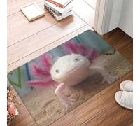 EAEQKOUC 3d Custom Smiling Leucistic Axolotl Doormat Non-Slip Entrance Bath Kitchen Door Floor Mats Salamander Animal Living Room Carpet Rug-40x60cm