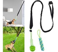 Eaersan Spring Pole Dog Rope Toys, Dog Interactive Tether Tug of War Toy, Indoor/Outdoor Bungee Hanging Toy for Exercise and Solo Play for Small Medium to Large Dogs