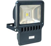 Eagle 100W Led Flood Light