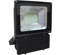 Eagle 100W Led Floodlight