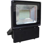 Eagle 100W Led Floodlight With Toughened Tempered Glass