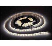 Eagle 12V Cool White Led Tapelight 5M