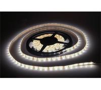 Eagle 12V Cool White Led Tapelight 5M