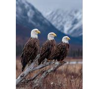 Eagle 5D Diamond Art Kits Adults, Diamond Painting for Beginners Plant, DIY Full Drill Crystal Art Pictures, Cross Stitch Embroidery Crafts Kits for Adults, Autumn Decorations, Gifts, 24x36in 8-9494