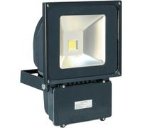 Eagle 70W Led Flood Light