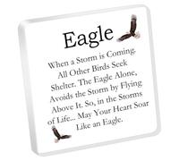 Eagle Acrylic Office Room Desk Decor Sign Eagle Lover Gift Inspirational Eagle Home Decoration Decorative Gifts (When a Storm is y1)