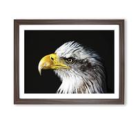 Eagle Bird No.1 Modern Framed Wall Art Print, Ready to Hang Picture for Living Room Bedroom Home Office Décor, Walnut A3 (46 x 34 cm)