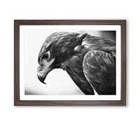 Eagle Bird No.3 Modern Framed Wall Art Print, Ready to Hang Picture for Living Room Bedroom Home Office Décor, Walnut A4 (34 x 25 cm)