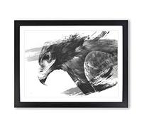 Eagle Bird Vol.3 V1 Modern Framed Wall Art Print, Ready to Hang Picture for Living Room Bedroom Home Office Décor, Black A2 (64 x 46 cm)
