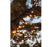 Eagle Connect Cluster Lights Black Rubber IP65 5m/250 LED Copper Gold