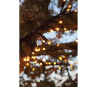 Eagle Connect Cluster Lights Black Rubber Ip65 Copper Gold 10M
