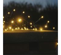 Eagle Connect Cluster Lights Black Rubber IP65 Warm White 10M