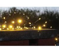 Eagle Connect Cluster Lights Black Rubber Ip65 Warm White 40M