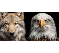 Eagle Diamond Art Wolf Diamond Painting Kits for Adults Beginner 5D DIY Full Round Drill Cross Stitch Kits for Adults Arts and Crafts for Bedroom Decor, Home Decor, Gifts 70 * 140cm -bby2603W5