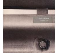 Eagle Eye Cherry - Permanent Tears [VINYL]