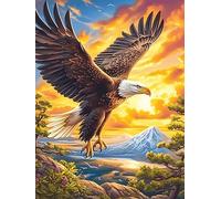 Eagle Flying Over A Mountain Valley 1000 Piece Complete Jigsaw Puzzle Set Wildlife Pet Teens Beginners Educational Challenge Puzzle Fans Group Play Anniversary Creativity & Gift Giving 1000 PCS