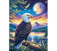 Eagle Flying Over The Ocean at Sunset 500 Pieces Premium Jigsaw Puzzle Wildlife Pet Adult Jigsaws Educational Challenge Mental Exercise Winter Gift Precision Cut Board 500 P