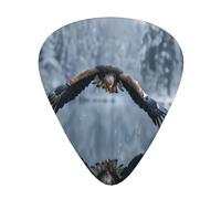 Eagle flying over water 12 Pack Guitar Picks Plectrums,4 pieces in each of 3 sizes, Suitable for a wide range of stringed instruments