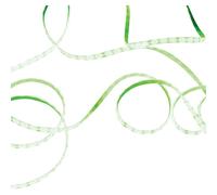 Eagle Green Led Tape Light 5M