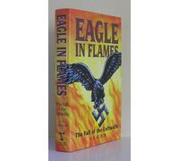 Eagle in Flames: The Fall of the Luftwaffe