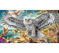 Eagle-in-Flight-Over-Village Jigsaw Puzzles for Adults: 1000-Piece Recycled Cardboard Decoration 75x50cm/1000pcs