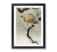 Eagle In The Tree By Ohara Koson Asian Japanese Framed Print | A2 Black Framed Wall Art | Ready to Hang | Asian Floral Picture | Living Room Bedroom Lounge Office