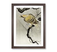 Eagle In The Tree By Ohara Koson Asian Japanese Framed Print | A2 Walnut Framed Wall Art | Ready to Hang | Asian Floral Picture | Living Room Bedroom Lounge Office